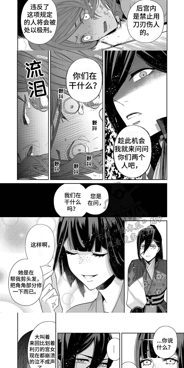 第19章：庇护2