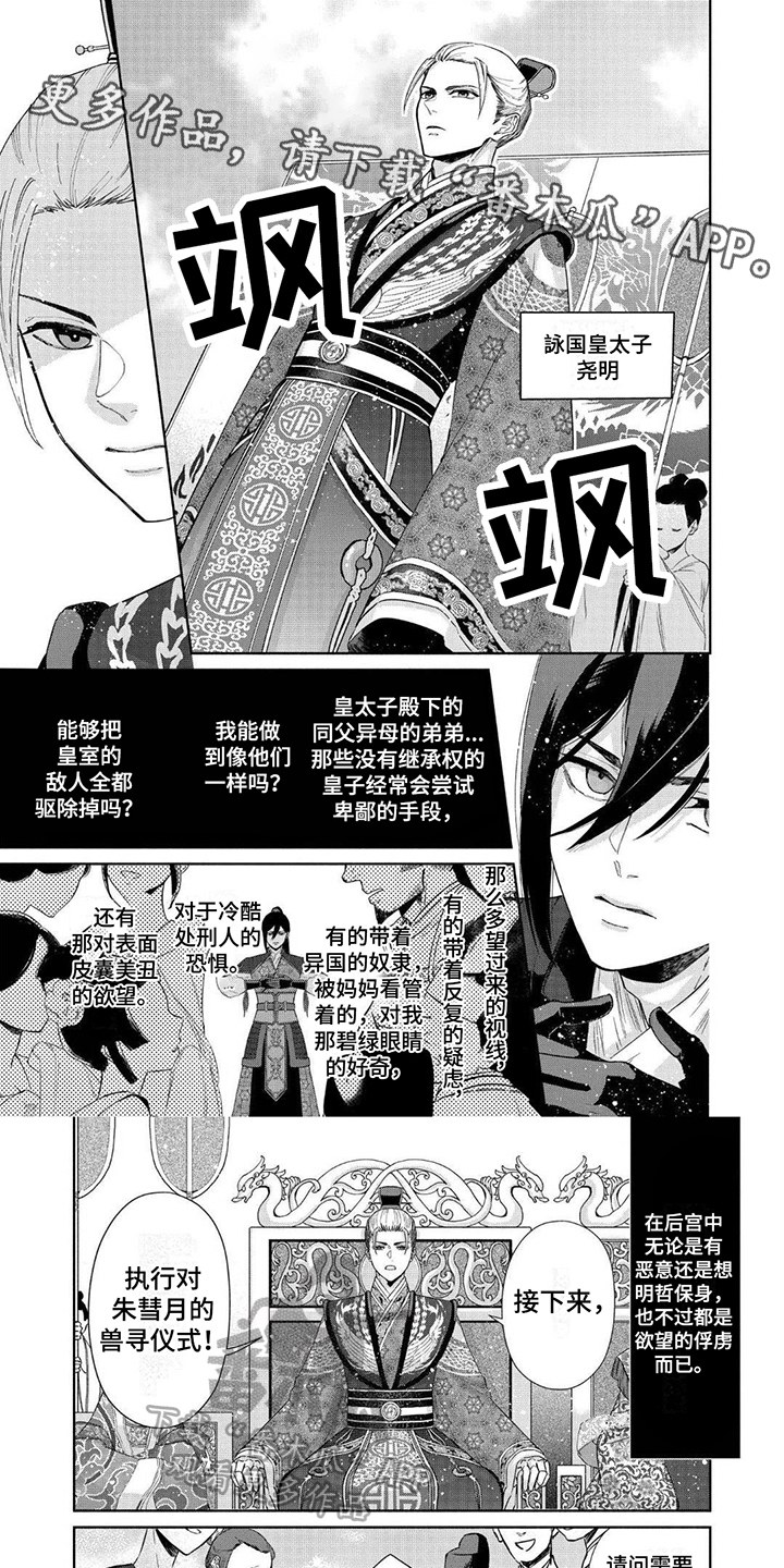 第6章：兽寻仪式0