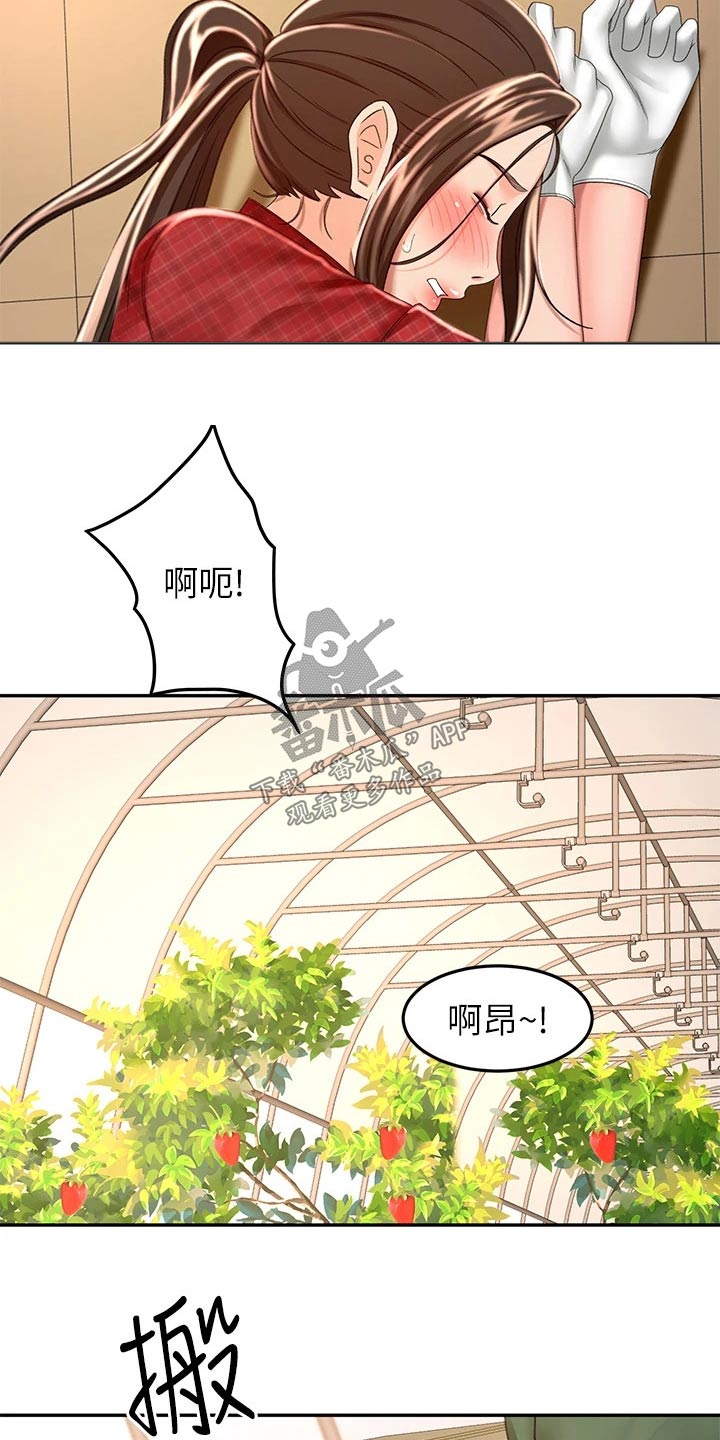 第87章：很忙6