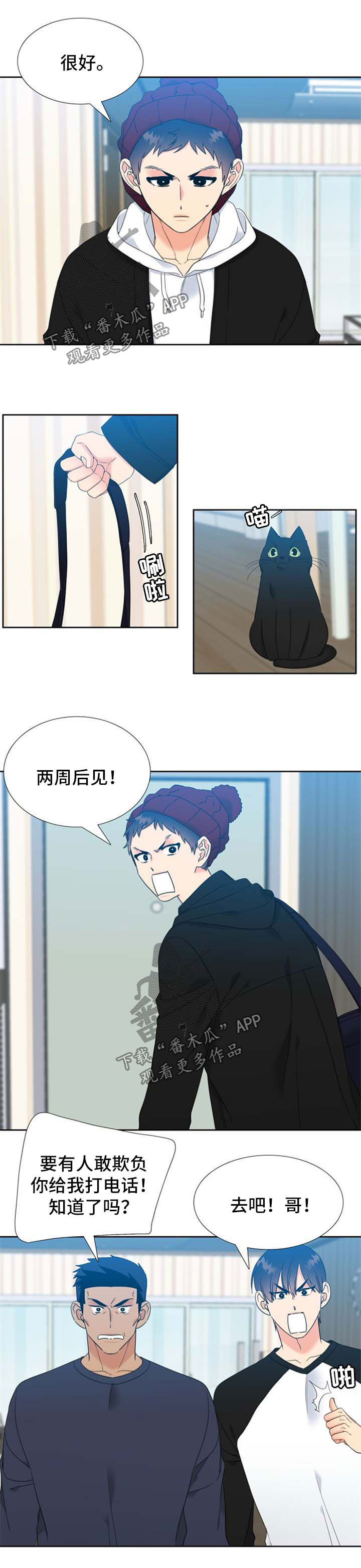 第104章：缘分0