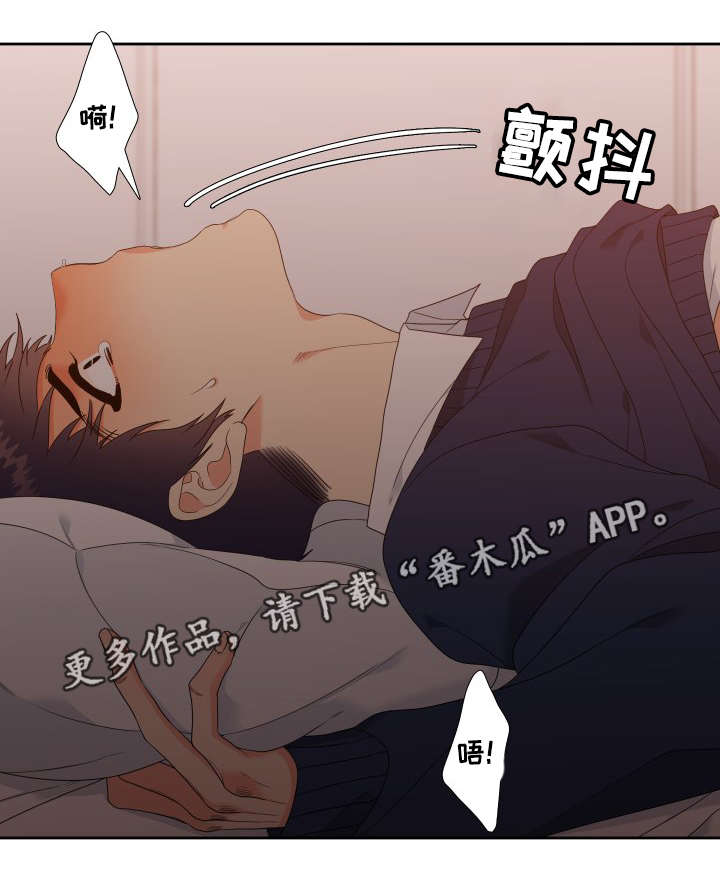 第14章：诱骗8