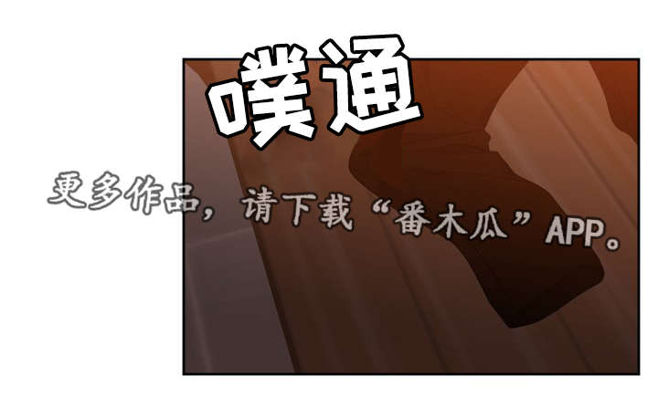 第14章：诱骗6
