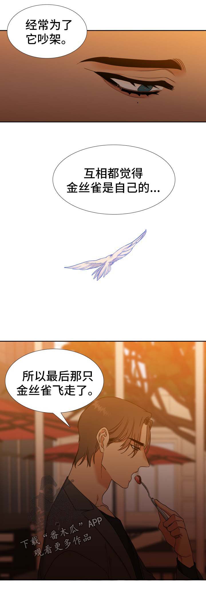 第55章：金丝雀5