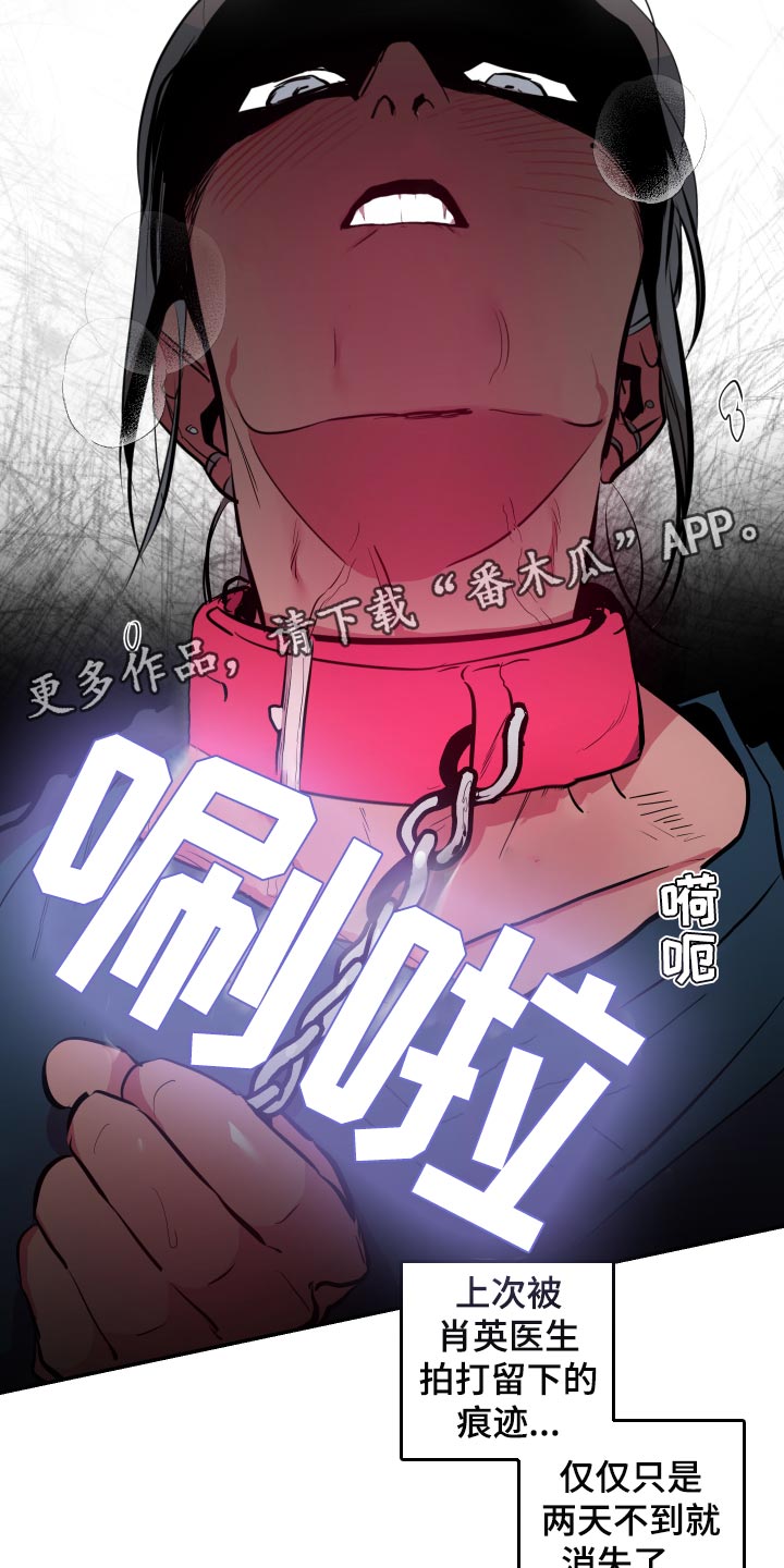 第44章：【第二季】真可惜22