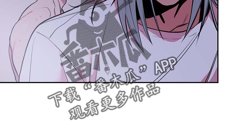 第40章：【第二季】守株待兔12
