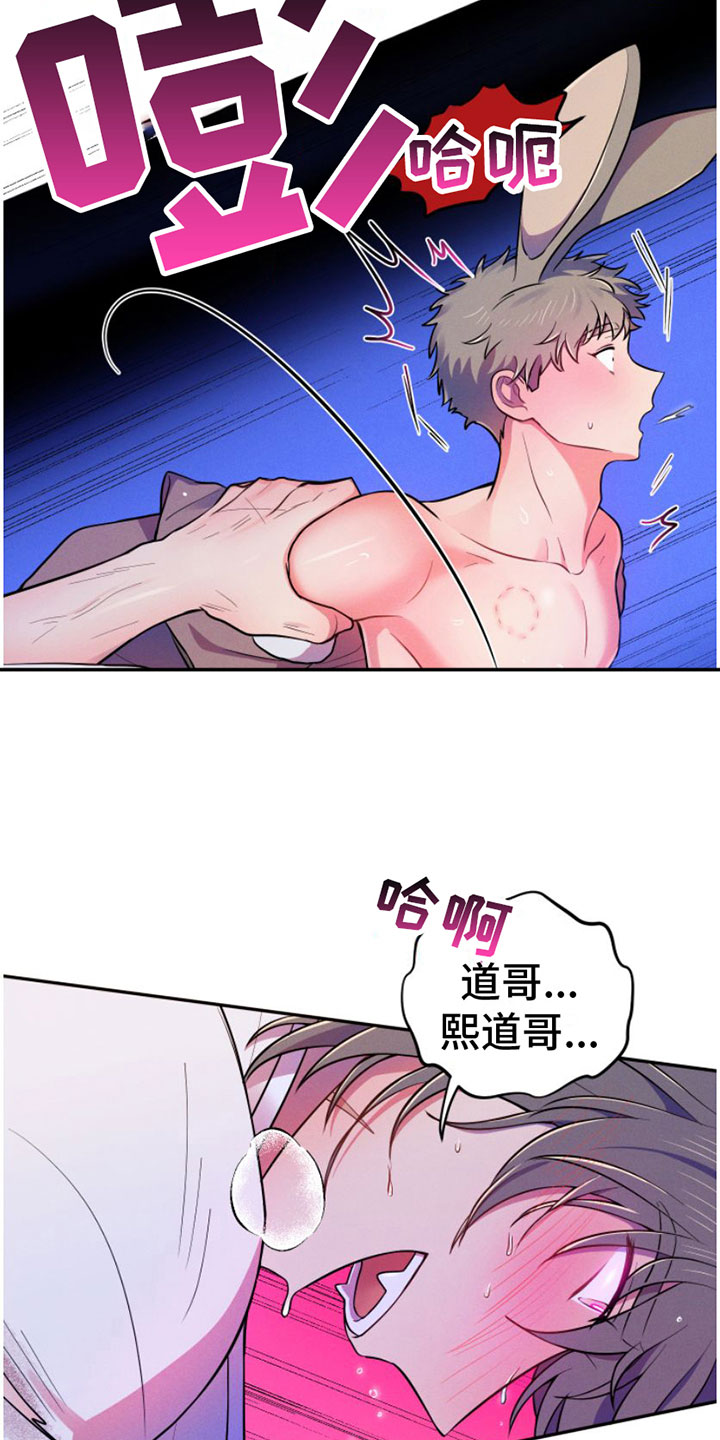 第9章：继续5