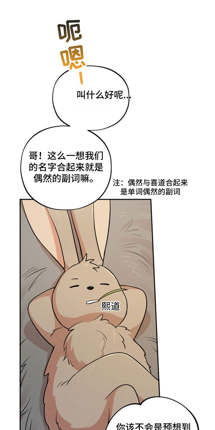 第11章：春天【完】15