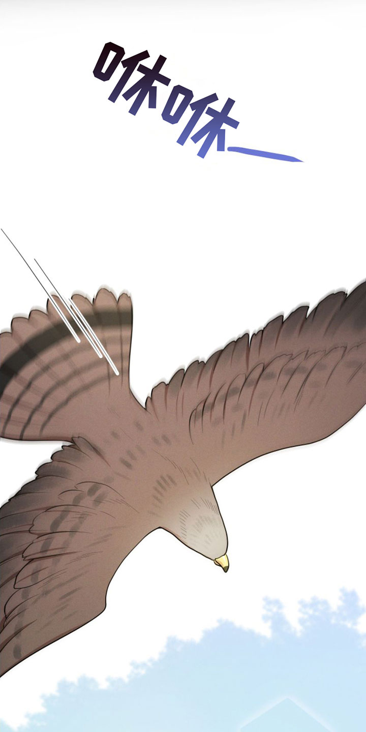 第1章：兔子救狼7