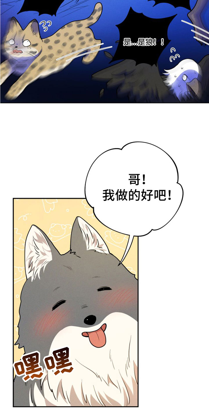 第1章：兔子救狼25