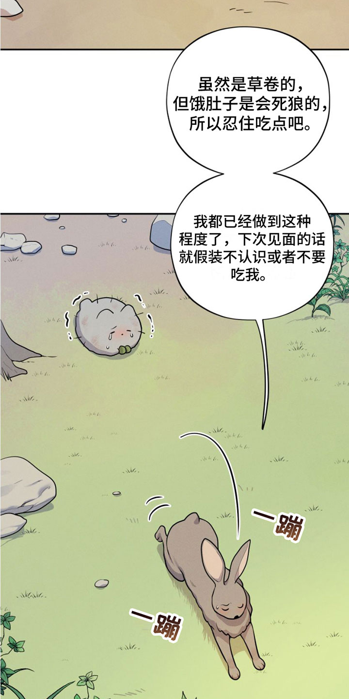 第1章：兔子救狼18