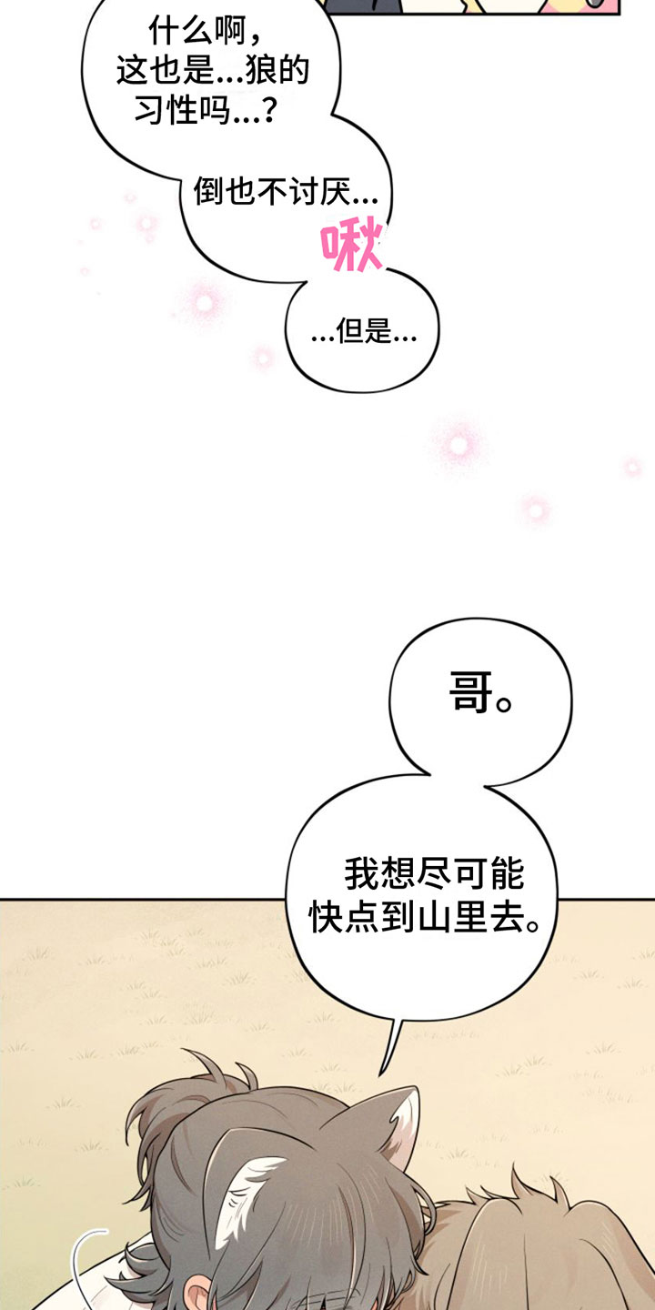 第5章：回山里去17