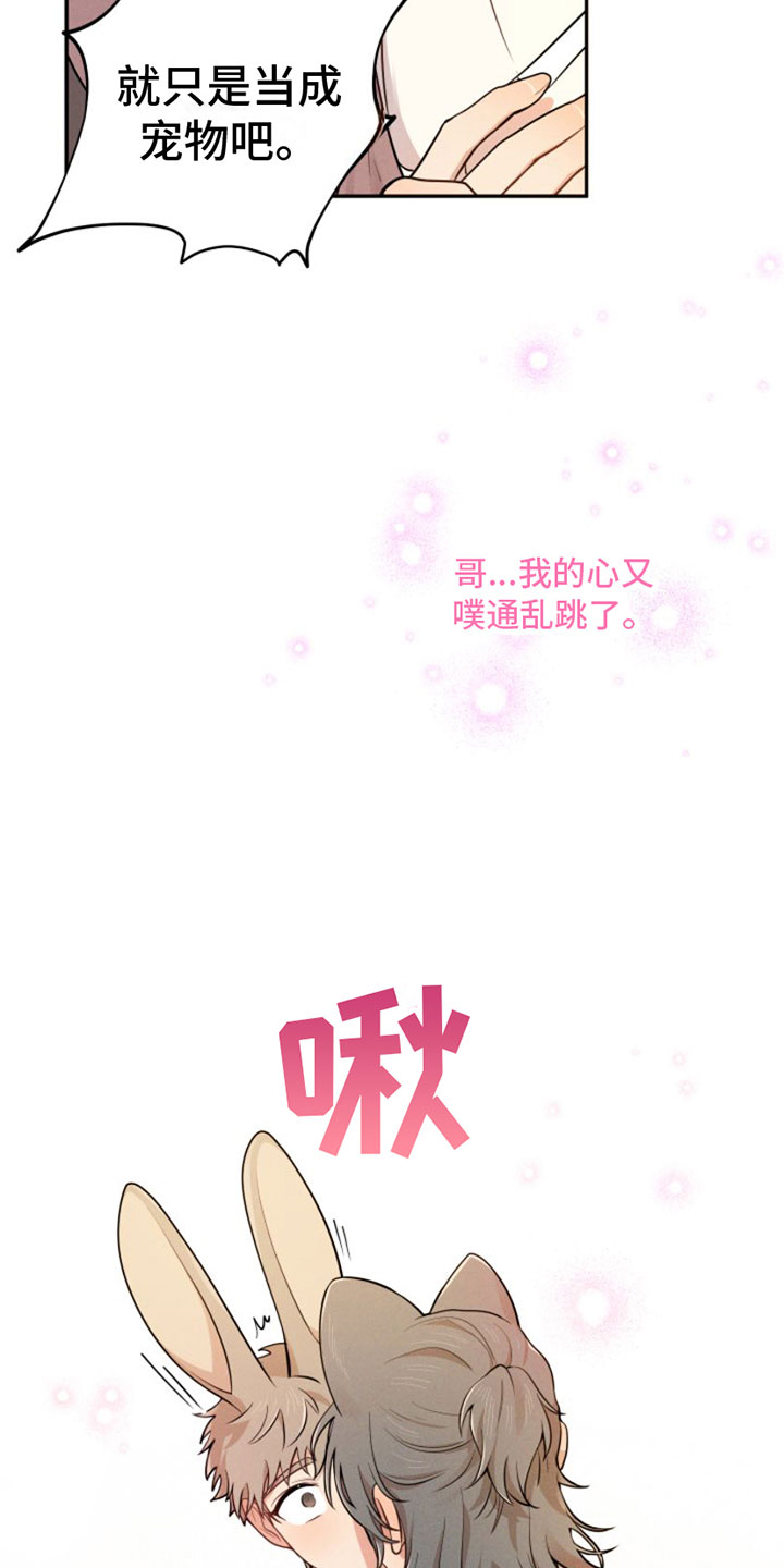 第5章：回山里去15
