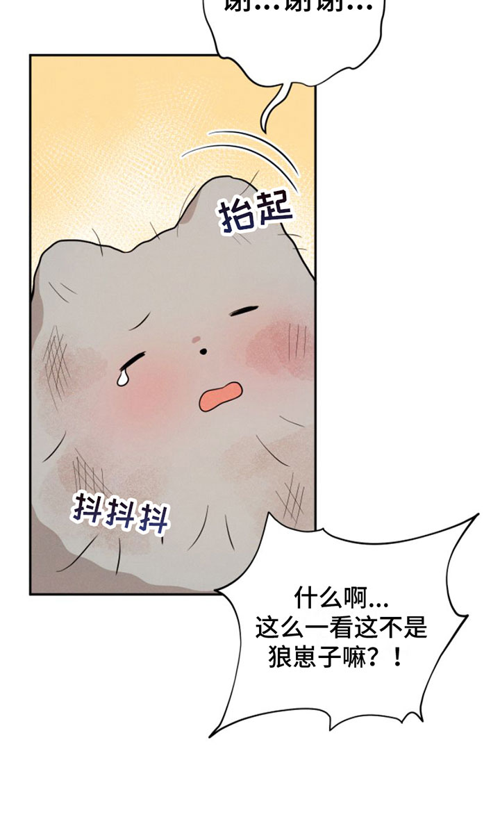 第1章：兔子救狼16