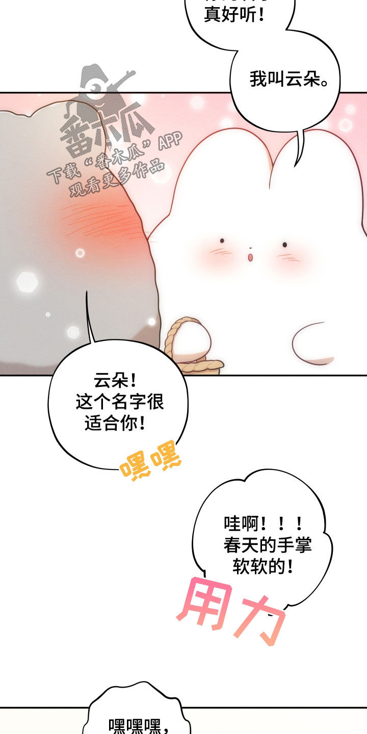 第14章：【番外】婚礼15