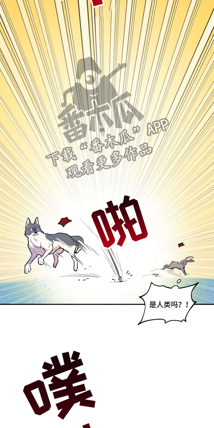 第4章：我是哥的8