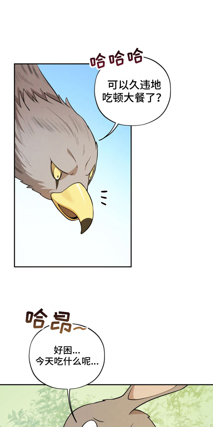 第1章：兔子救狼10