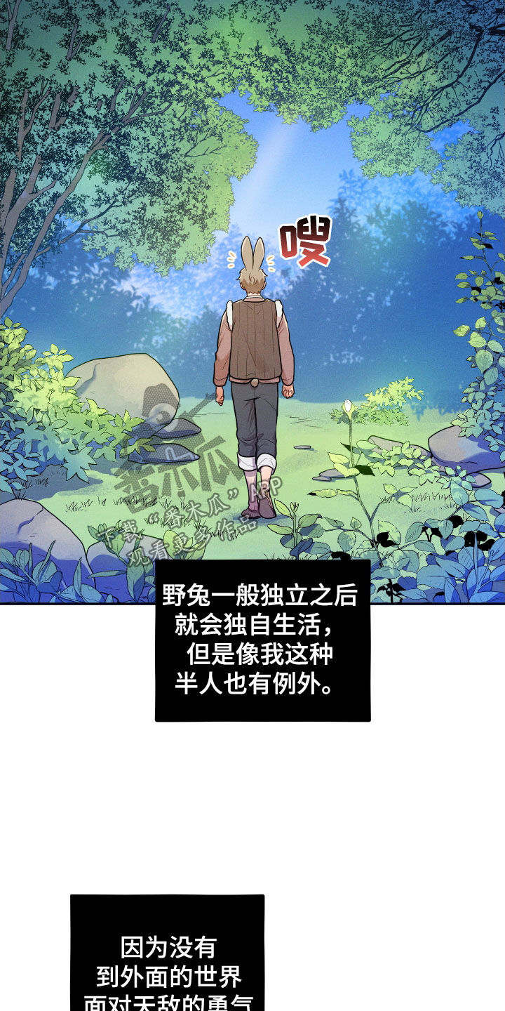 第12章：【番外】故乡11