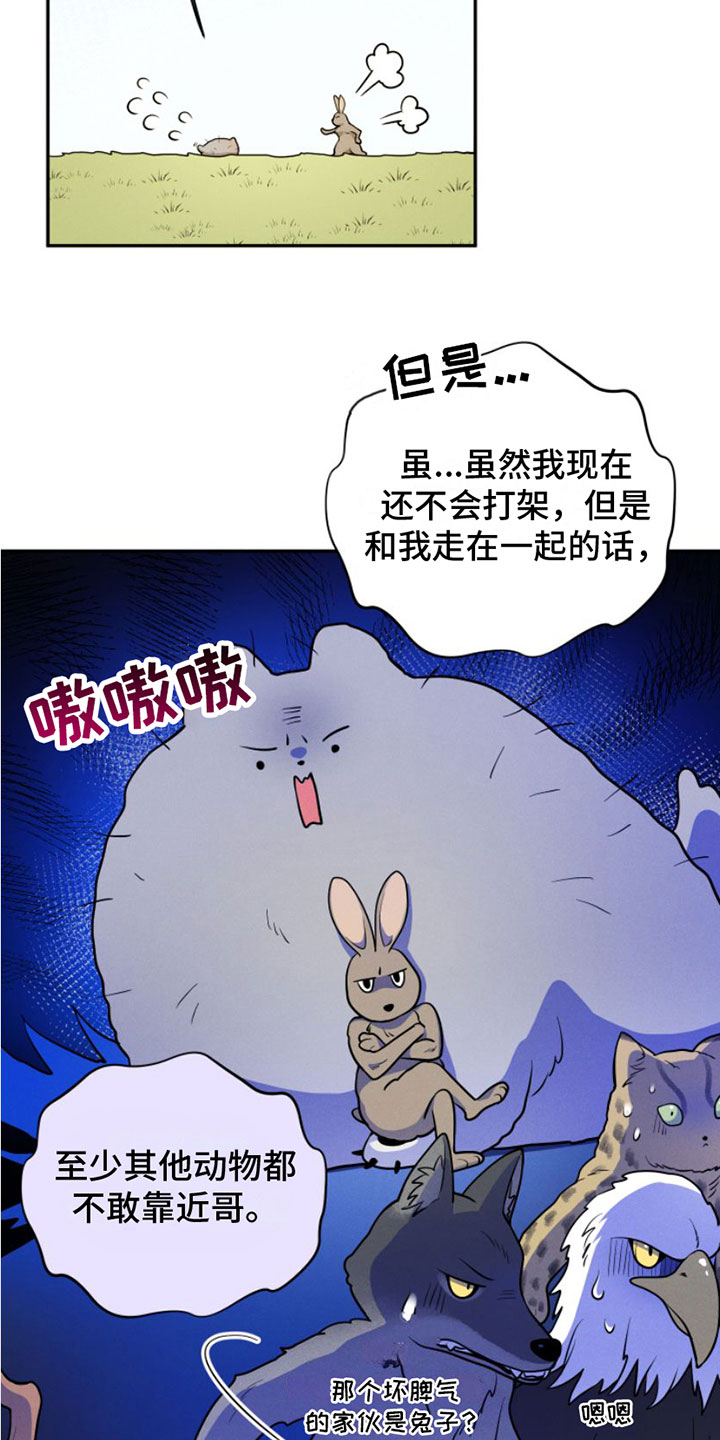 第1章：兔子救狼22