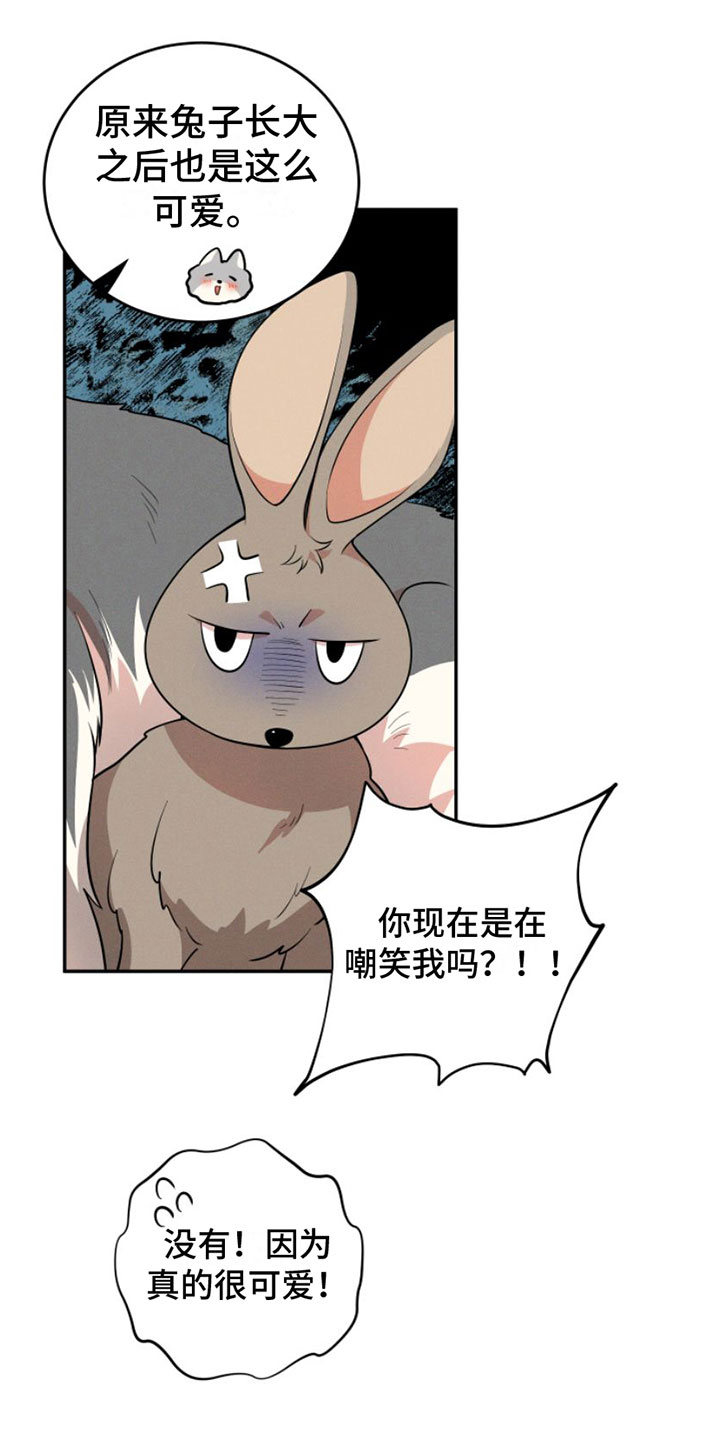 第1章：兔子救狼28