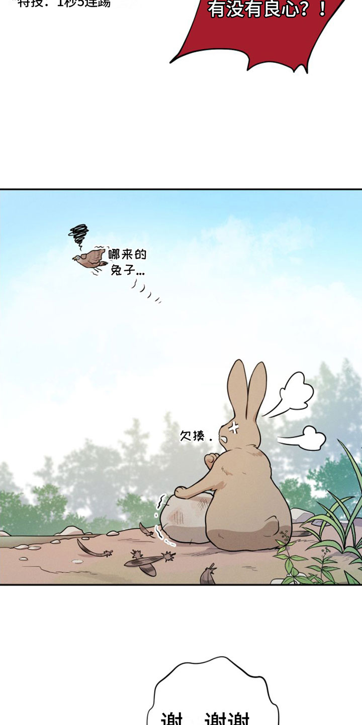 第1章：兔子救狼15