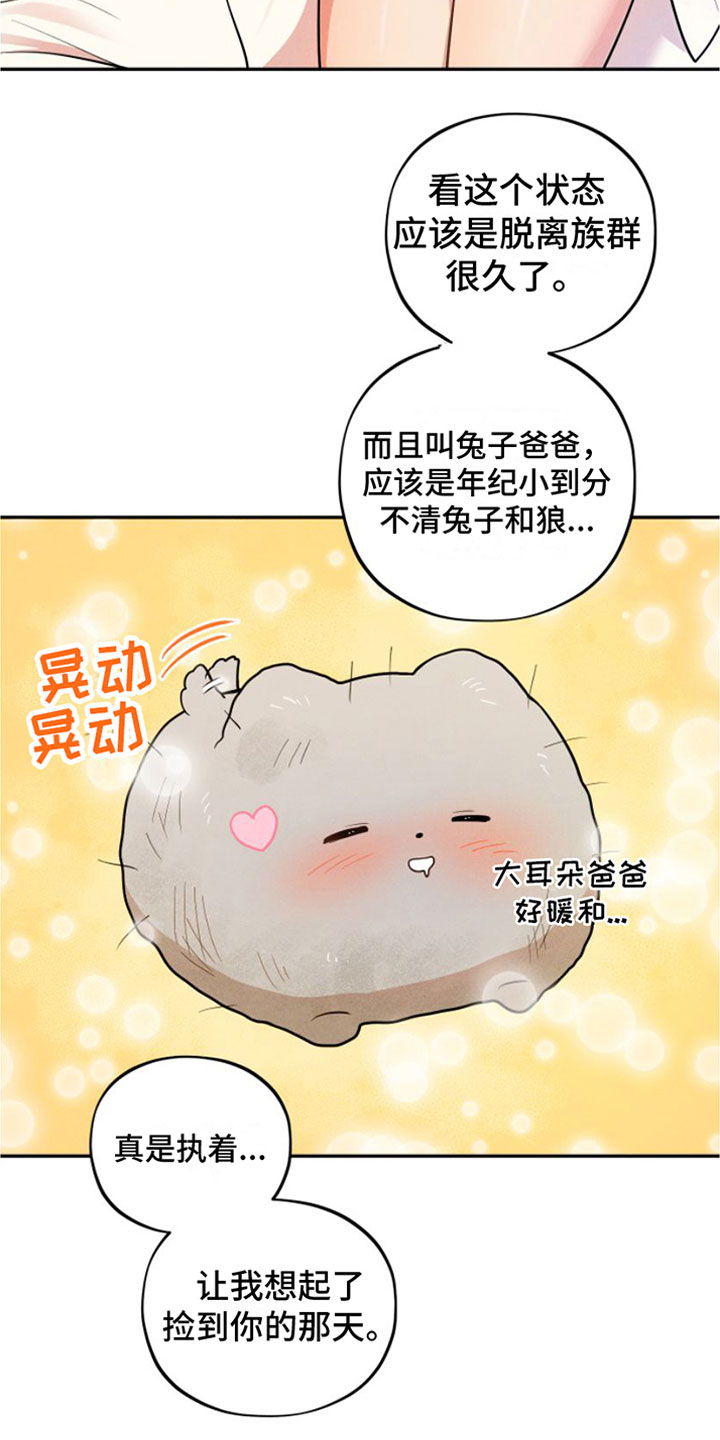 第11章：春天【完】12