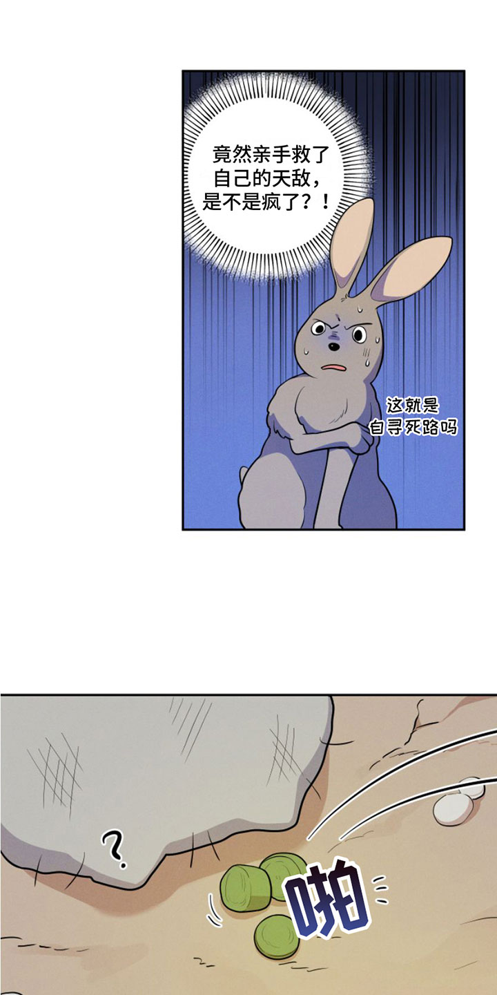 第1章：兔子救狼17