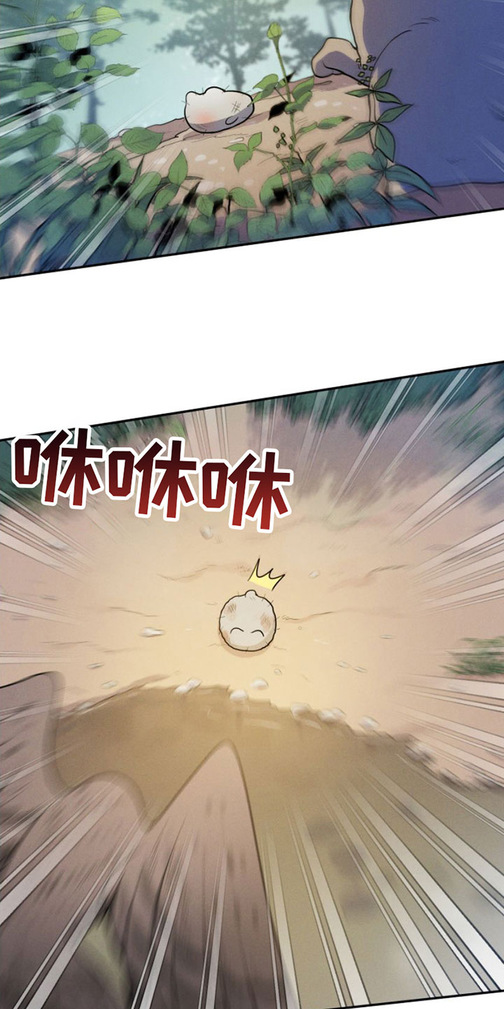 第1章：兔子救狼13