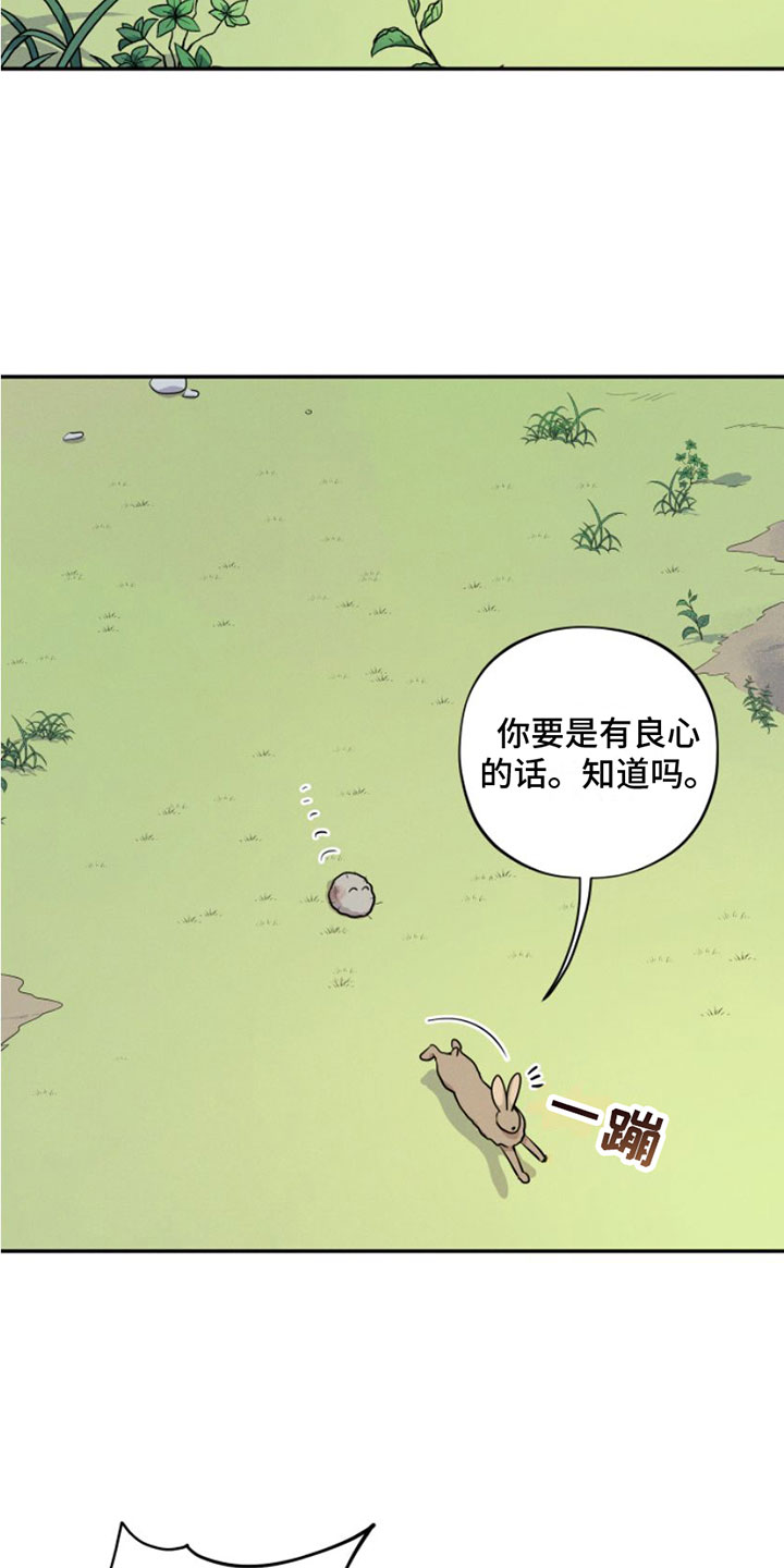 第1章：兔子救狼19