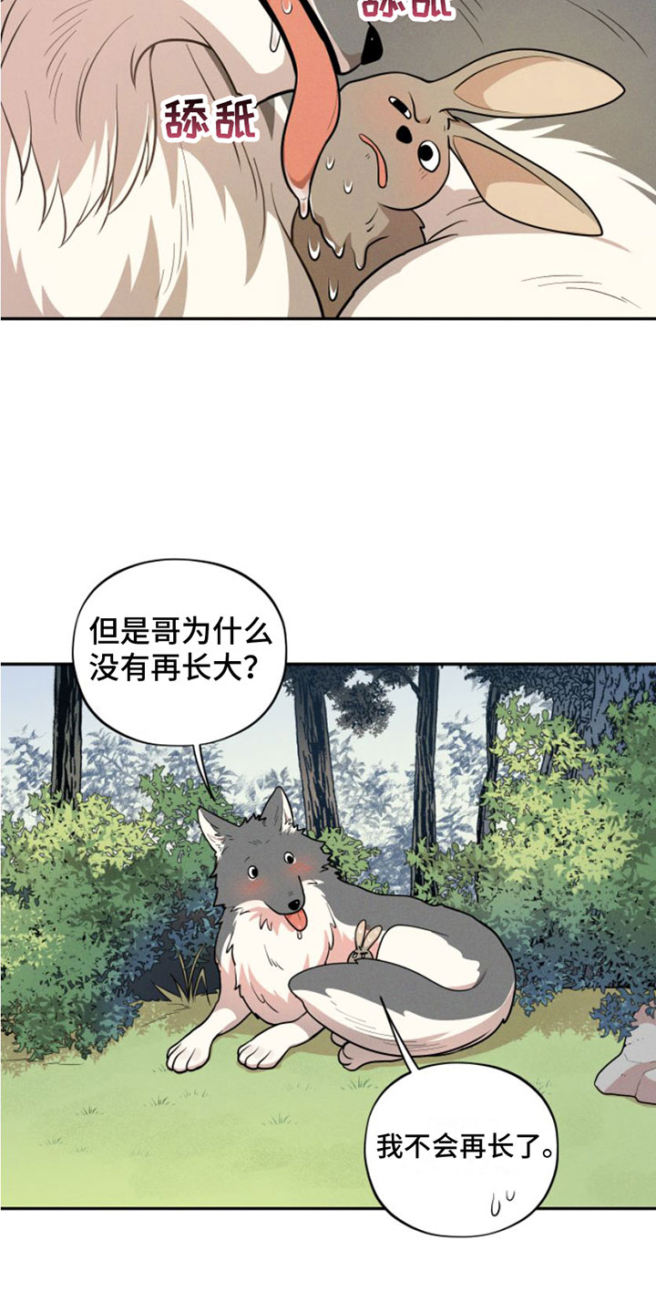 第1章：兔子救狼27