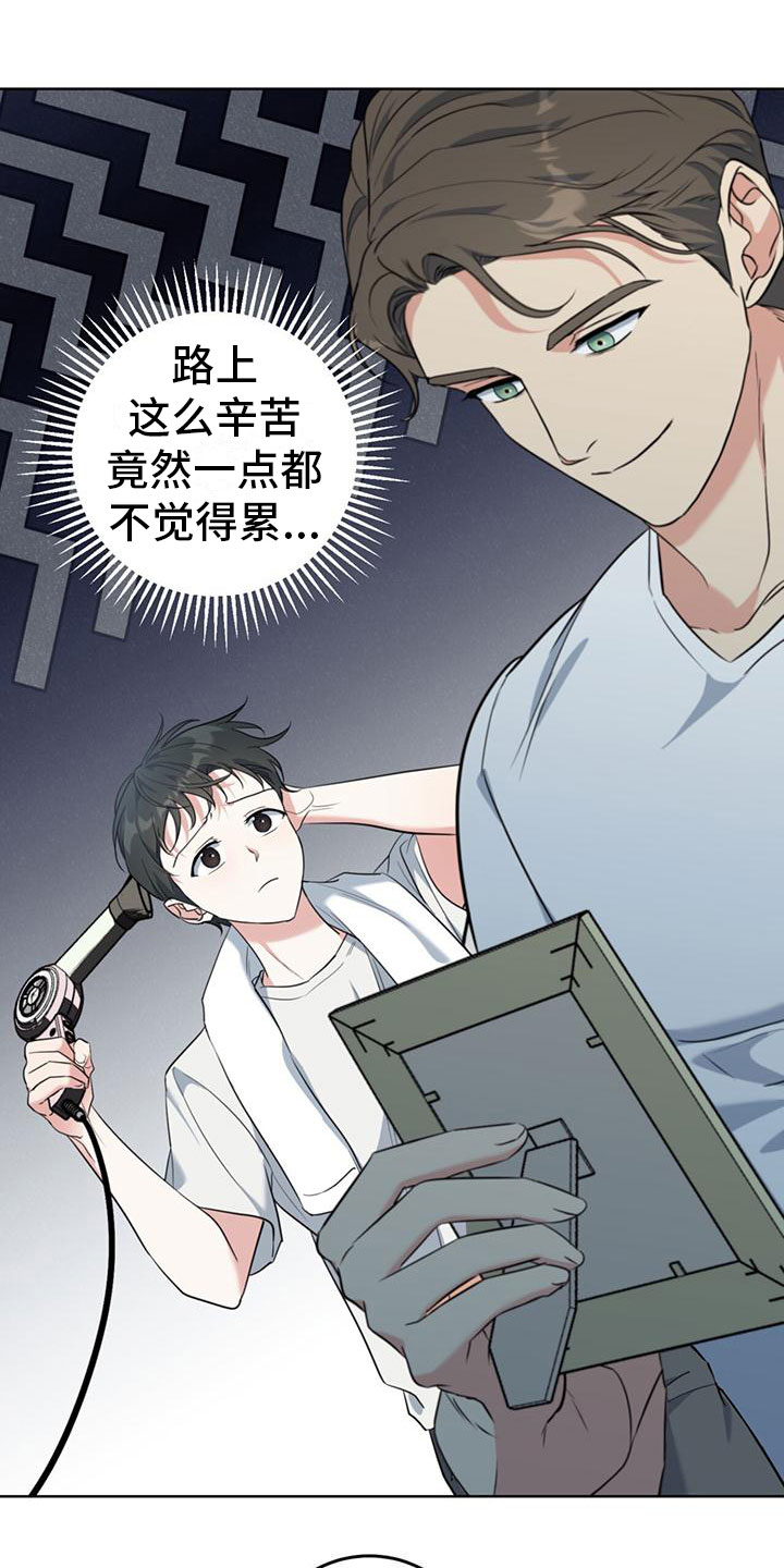 第3章：大型犬4