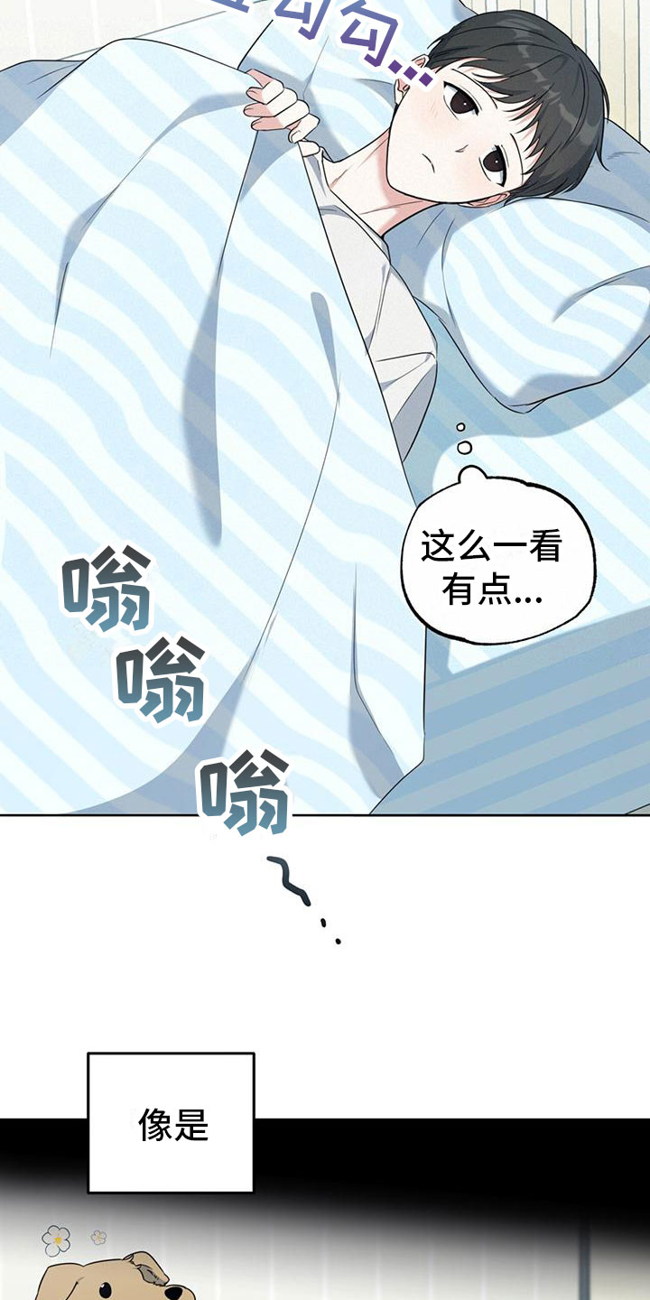 第3章：大型犬32