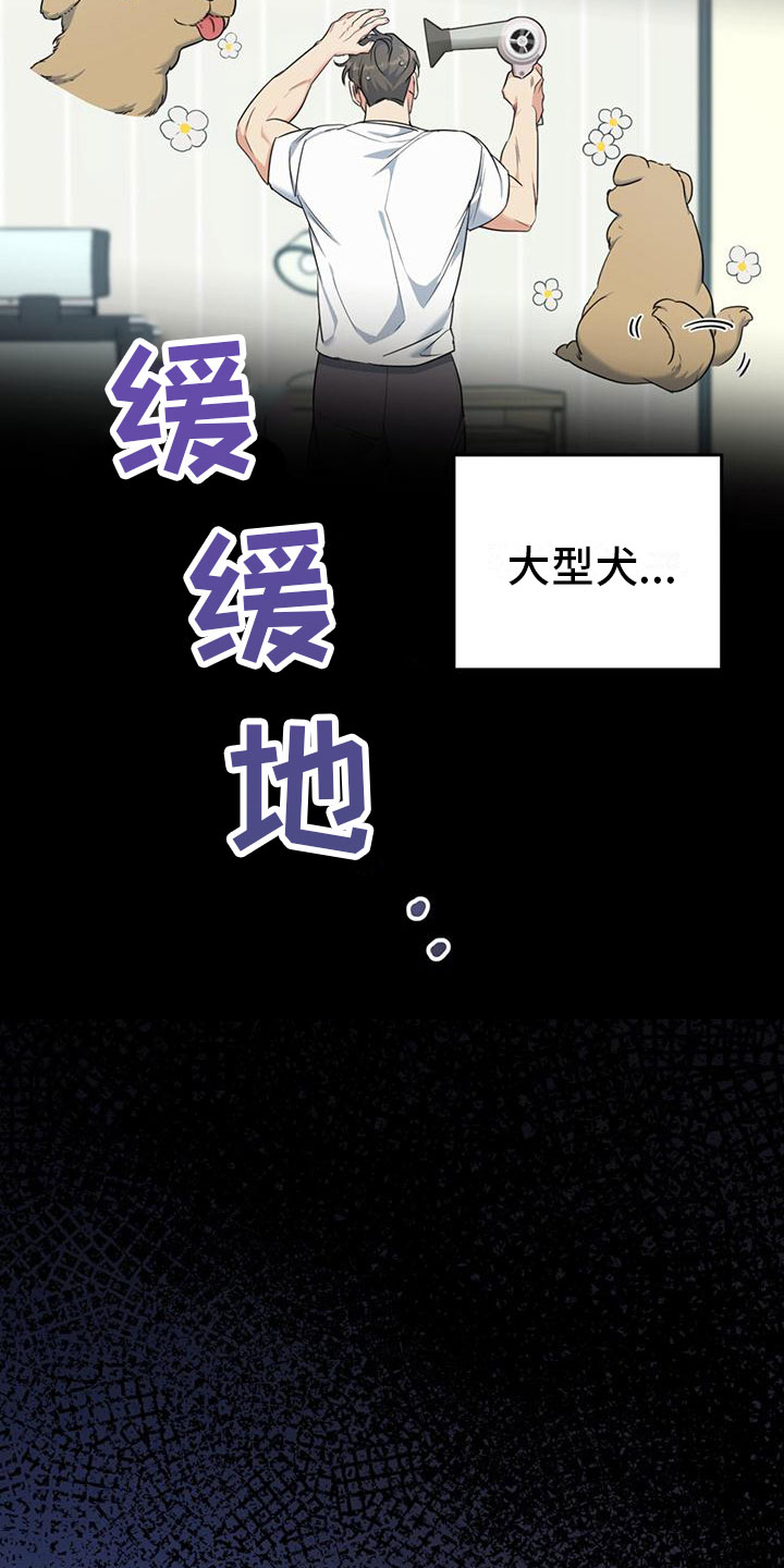 第3章：大型犬33