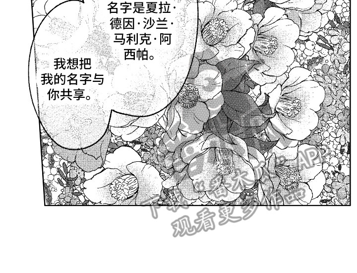第27章：忘不掉15