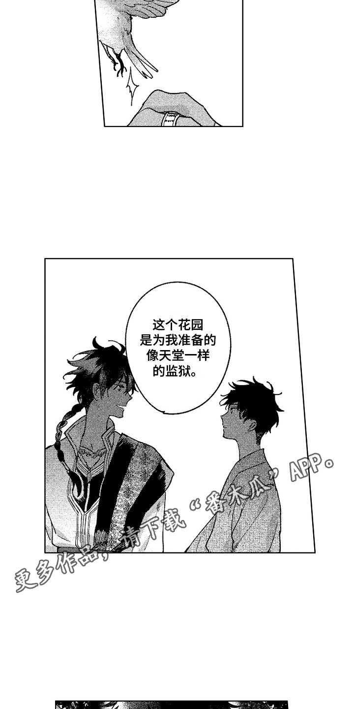 第19章：花园10