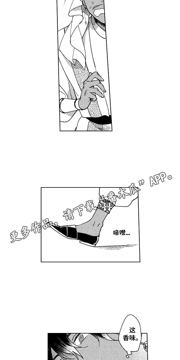 第26章：寻找10