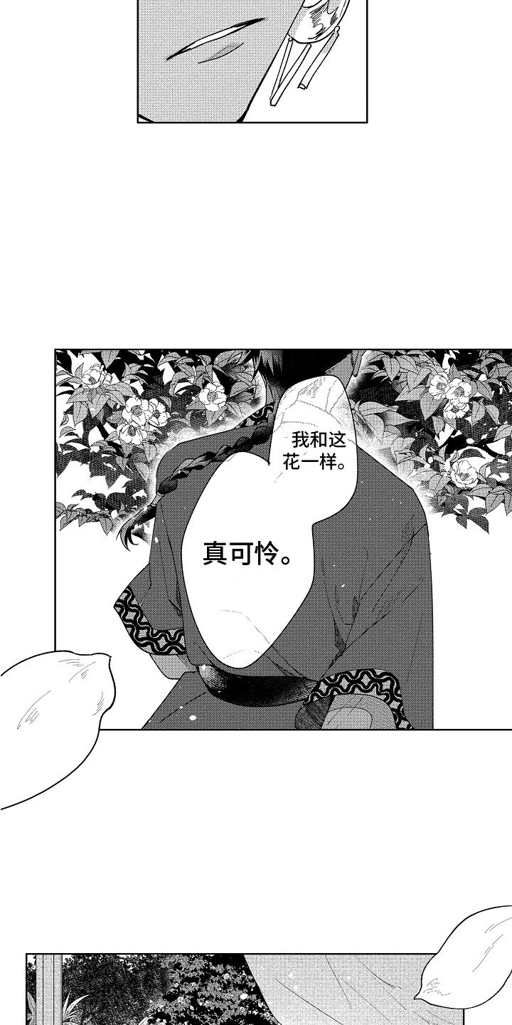 第1章：王位继承者13