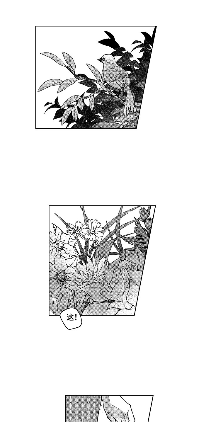 第4章：镜中世界11