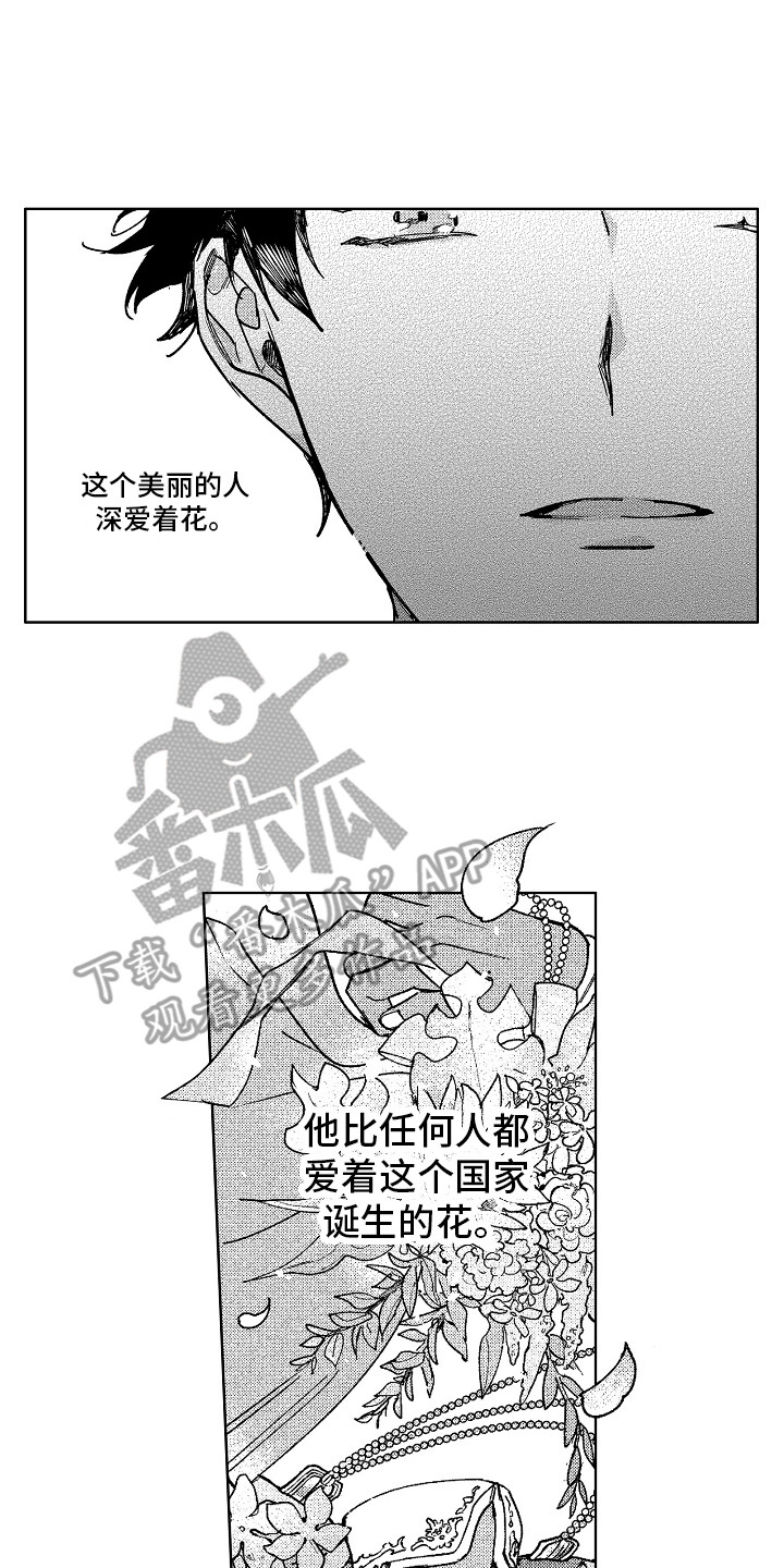第19章：花园13