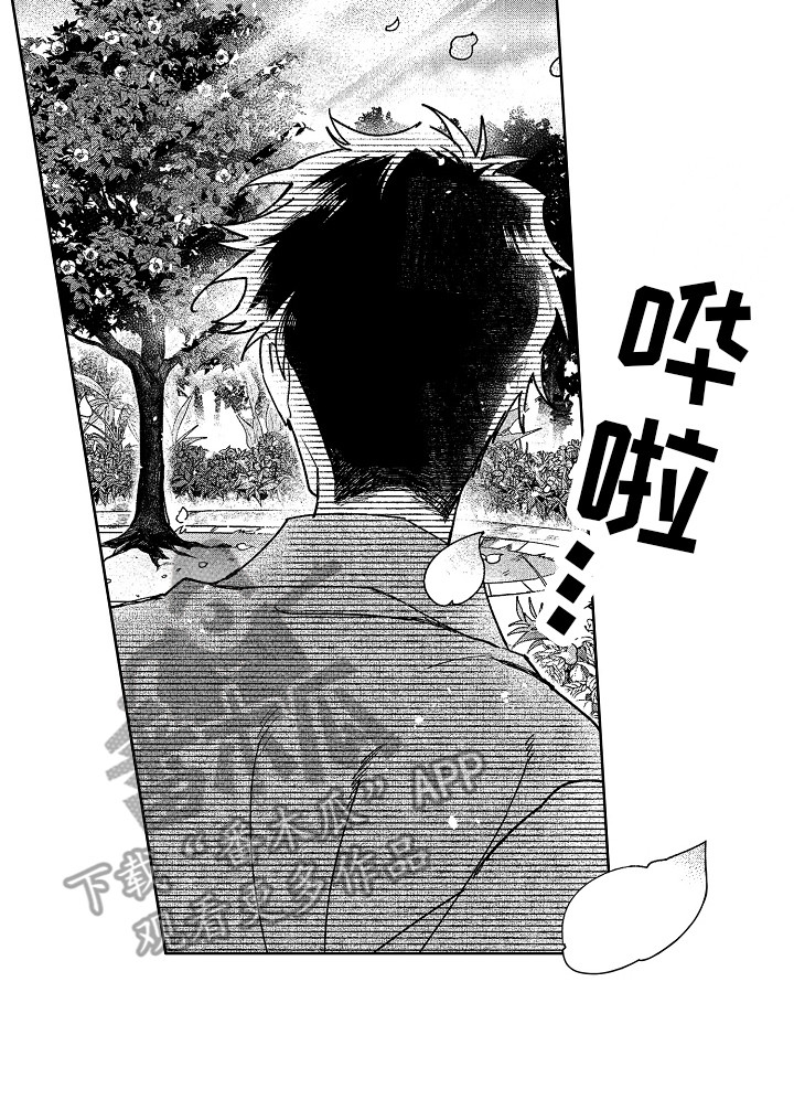 第19章：花园16