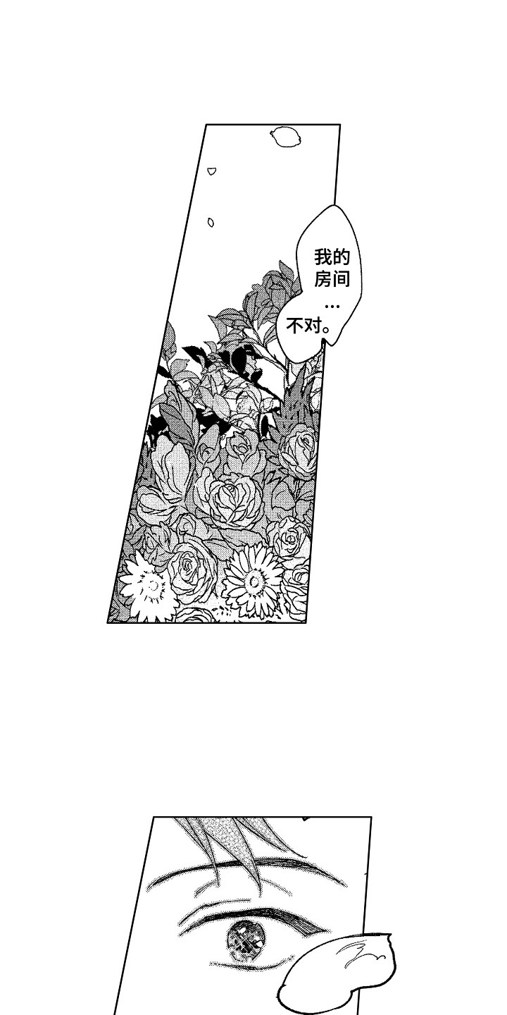 第4章：镜中世界9