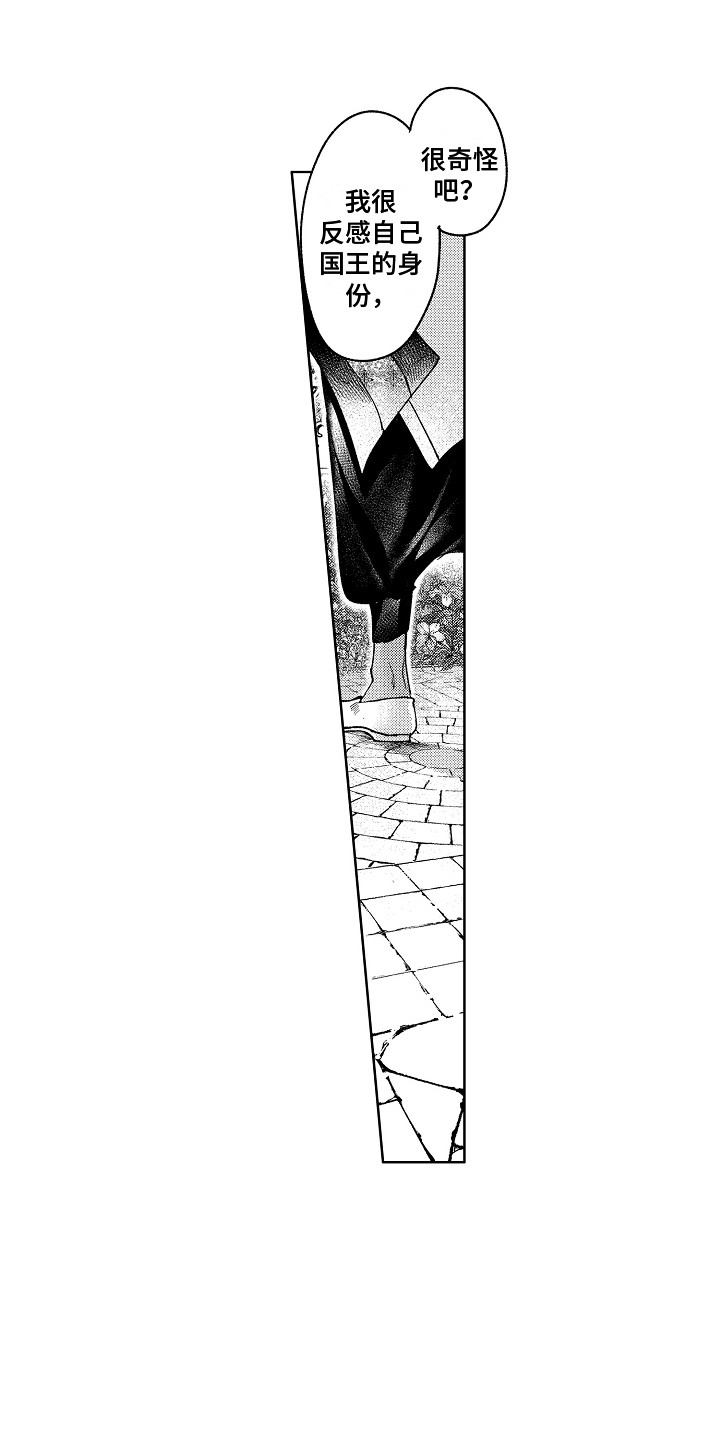 第19章：花园6