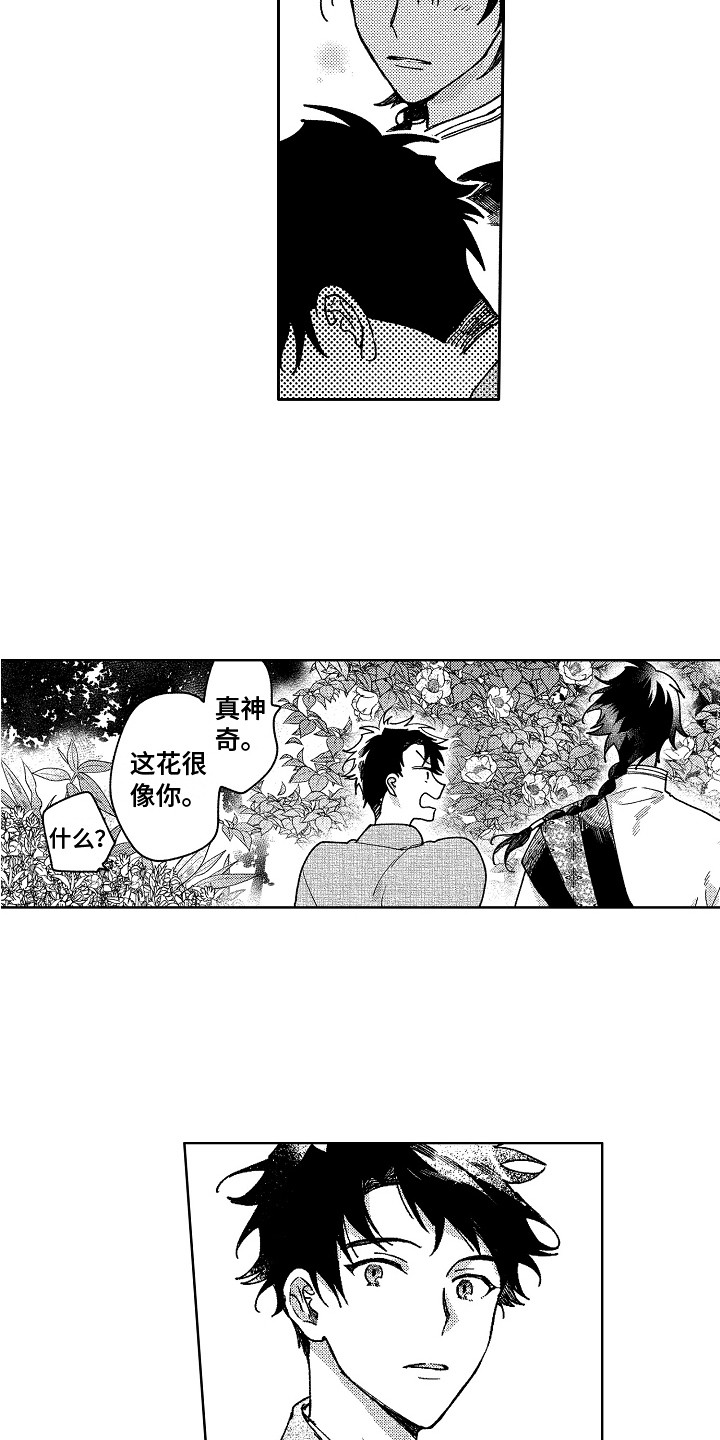 第20章：微妙的感情5