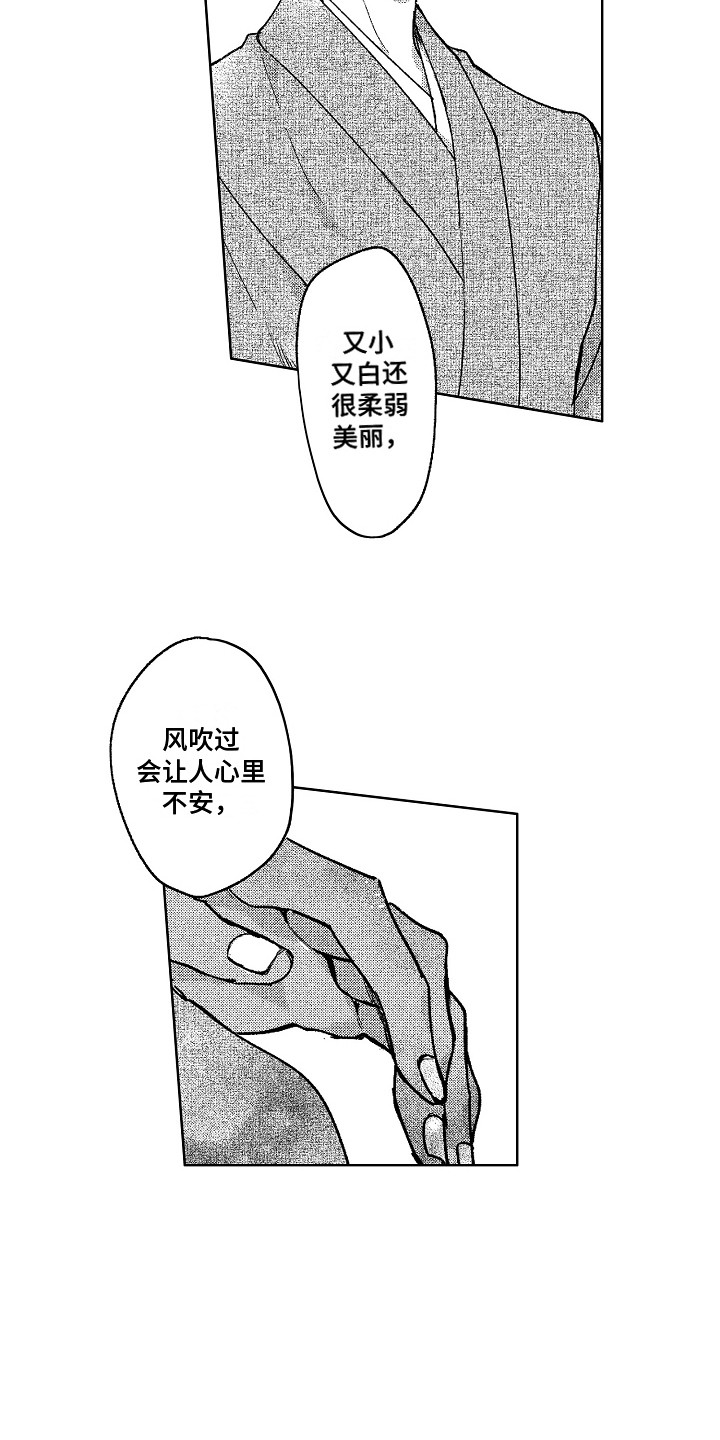第20章：微妙的感情6