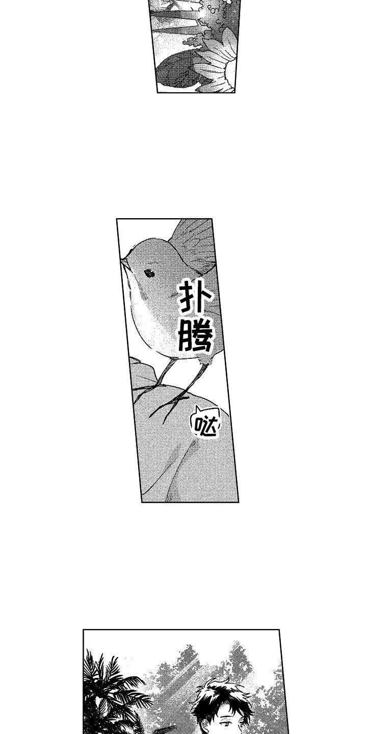 第28章：求婚（完结）15