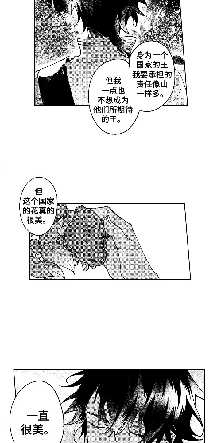 第19章：花园11