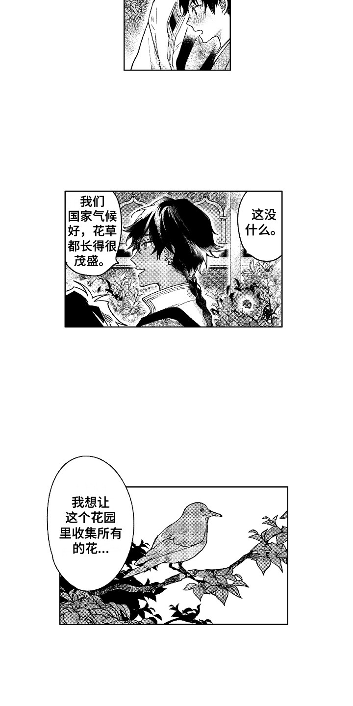 第19章：花园5