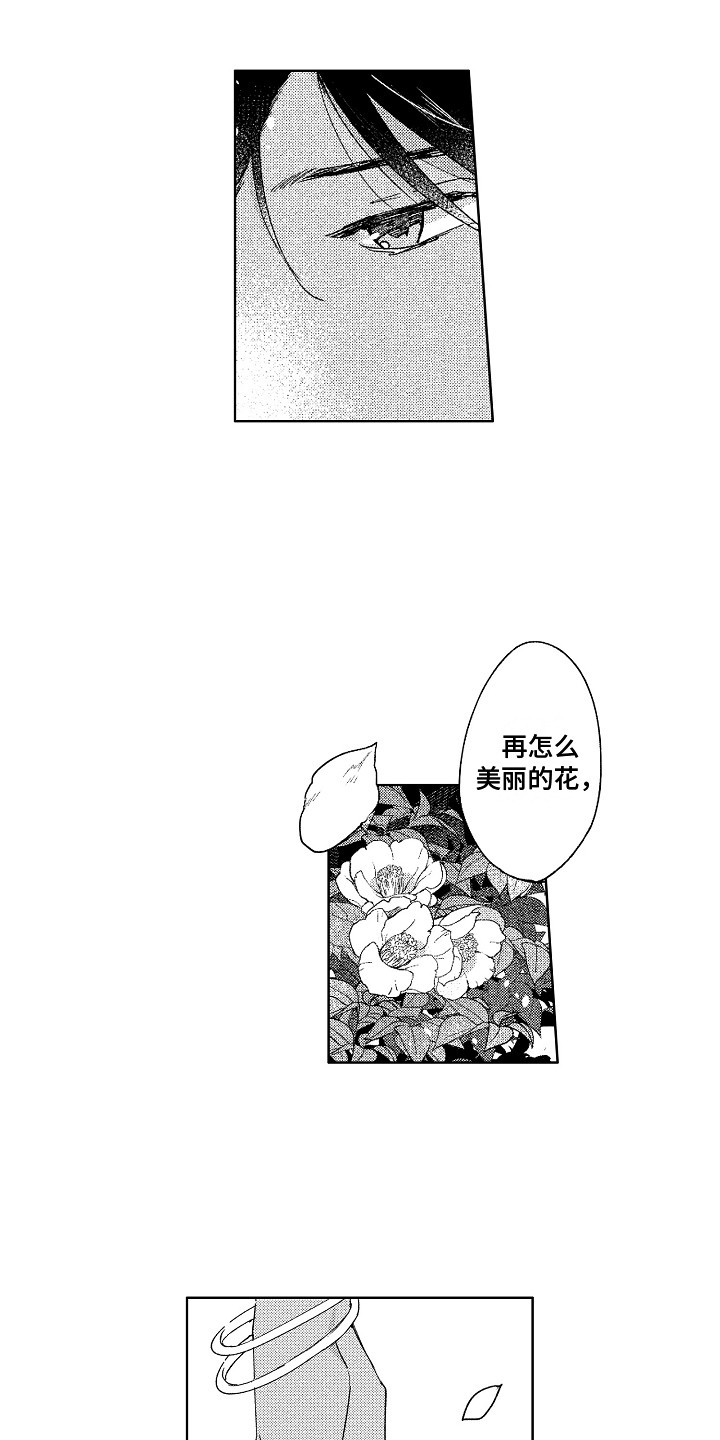 第1章：王位继承者11