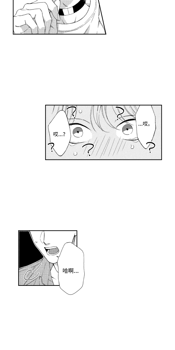 第22章：解释5