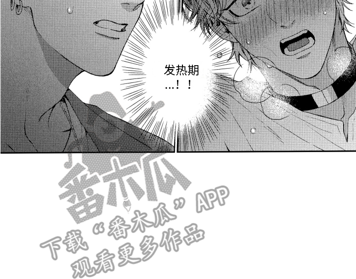 第5章：信息素13