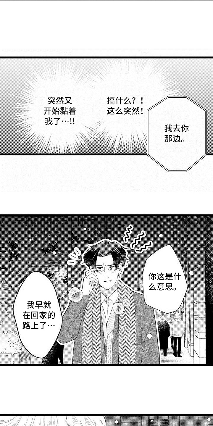 第17章：建议11